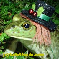 /home//u458753944/public_html/sourcegallery////////////////Frogs/More bullfrogs/P6020119.JPG